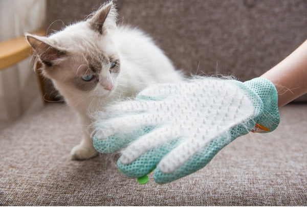 Pet hair removal