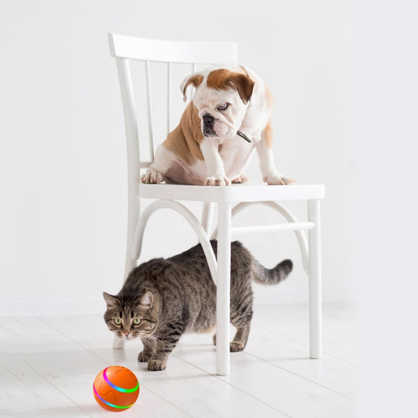 Self Rotating Ball Automatic Rotation Ball