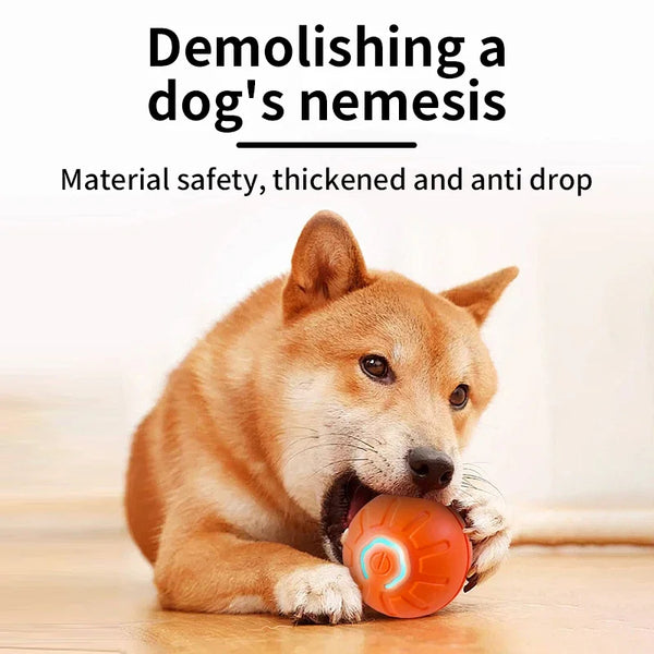Interactive Pet Toy Moving Ball